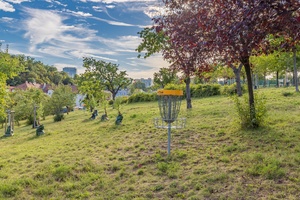 discgolf course