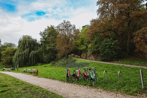 park Thomayerovy sady