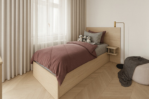 vizualizace navrhované dispozice